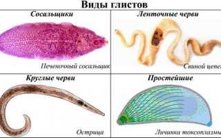 Чем опасны глисты, какие гельминты самые страшные?