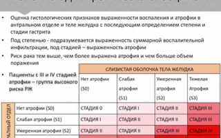 Хронический гастрит: в 1, 2 и 3 степени, и стадии ремиссии