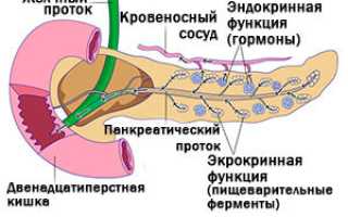 Ферментная недостаточность поджелудочной железы (недостаток ферментов)