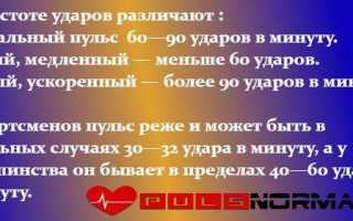 Пульс 58 ударов в минуту у мужчины