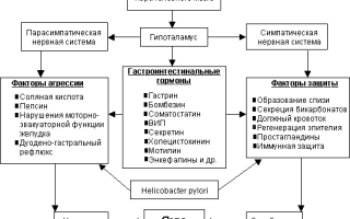 Этиология и патогенез язвенной болезни желудка