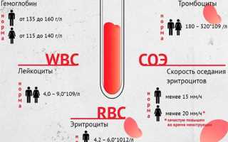 Анализы крови при панкреатите, какие нужно сдать, их показатели, результаты, как определить?