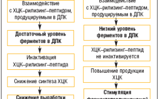 Терапия хронического панкреатита