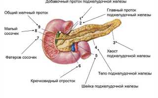 Шейка поджелудочной железы