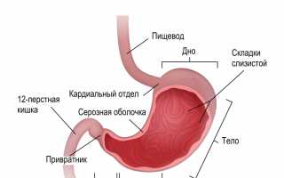 Полип кардиального отдела желудка