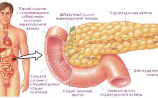 Методы диагностики заболеваний поджелудочной железы и ее лечения