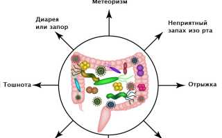 Аппетит при дисбактериозе