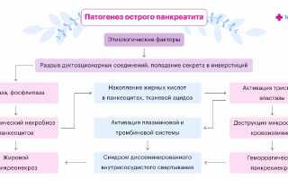 Этиология, патогенез, причины возникновения острого панкреатита, от чего обострение?