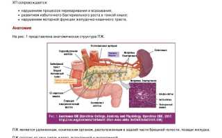 Сколько живут люди с хроническим панкреатитом, прогноз продолжительности жизни, как жить?