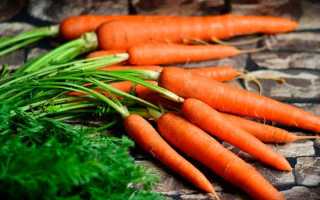 Морковь при панкреатите, можно ли сырую, морковный сок, пюре при поджелудочной железе?