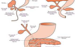 Аномалии развития поджелудочной железы