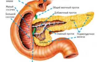 Поджелудочная железа: сахарный диабет на фоне панкреатита