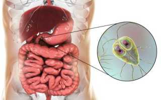 Лямблии у детей, лямблиоз у грудничков, ребенка в 1, 2, 3, 4 года, в 5-6 лет и подростков