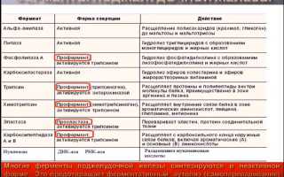 Сок поджелудочной железы и его пищеварительная функция, какие ферменты содержит?