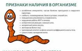 Глисты – паразиты в организме человека, какие средства лечения?