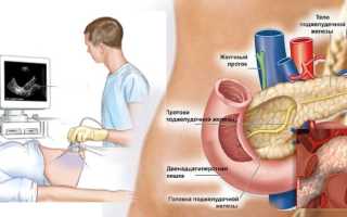 УЗИ при лечении печени и поджелудочной железы
