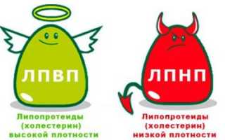 Общий холестерин это сумма лпвп и лпнп