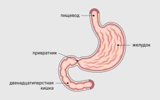 Геморрагический дуоденит и его причины