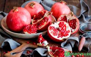 Гранатовые корки при дисбактериозе