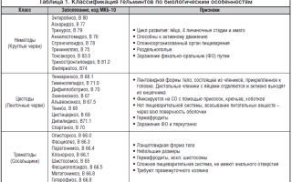 Группы гельминтов, формы и классы глистов, классификация гельминтозов по МКБ-10