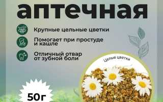 Цветки ромашки для лечения гастрита