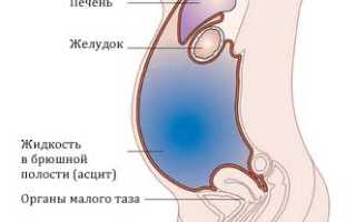 Сколько живут при асците?