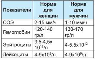 Ревмопробы какие анализы входят