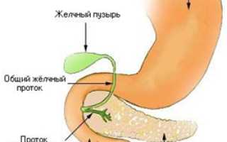 Диагноз – бульбит