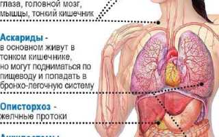 Признаки (симптомы) нематод у человека