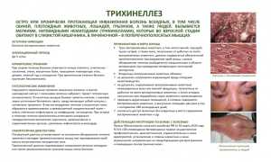Трихинеллез – общие сведения о заболевании, пути заражения, симптомы, диагностика и особенности лечения