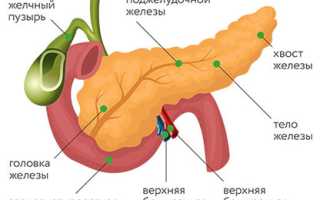 Головка поджелудочной железы – размеры, норма, лечение объемных образований