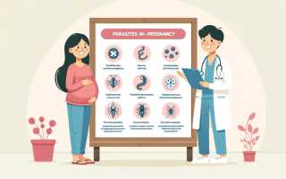 Описторхоз у женщин во время беременности