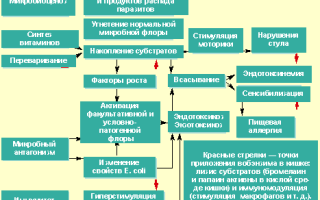 Кашель при лямблиозе у детей и взрослых