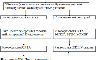 Методы лучевой диагностики заболеваний поджелудочной железы